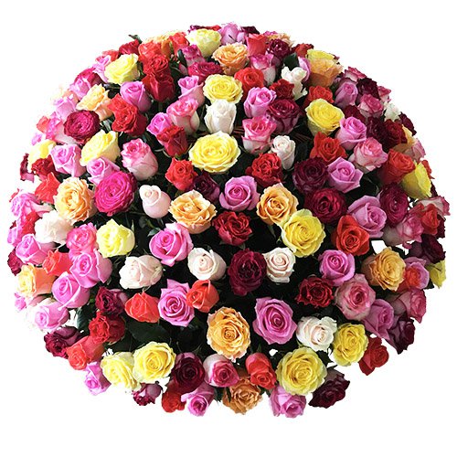 Корзина из 201 разноцветной розы