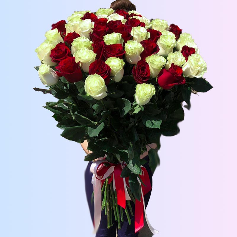 51 белая и красная роза Голландия 90 см