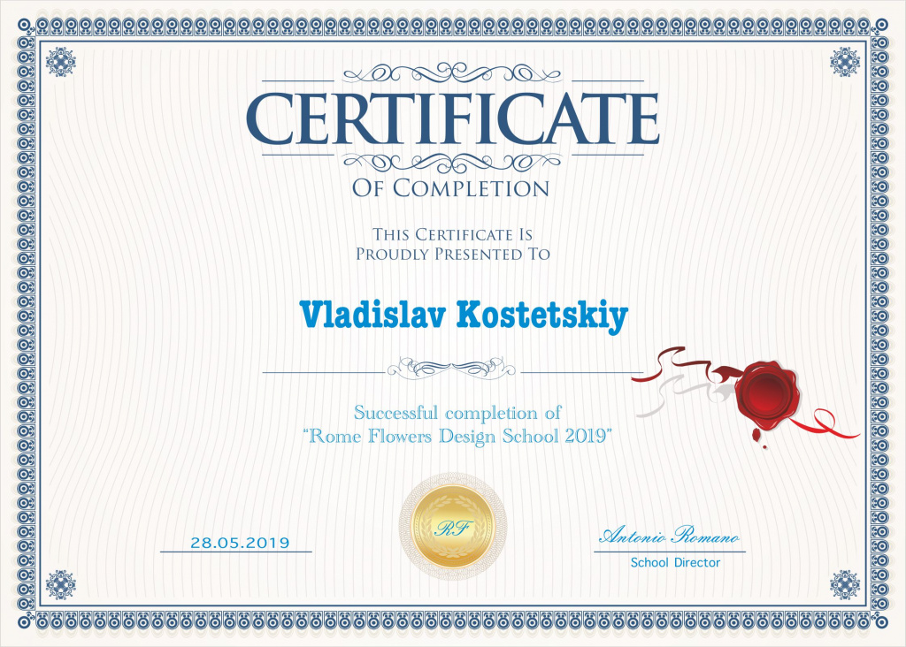 Сертификат Костецкий В.А.