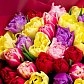 Букет из 51 разноцветного пионовидного тюльпана