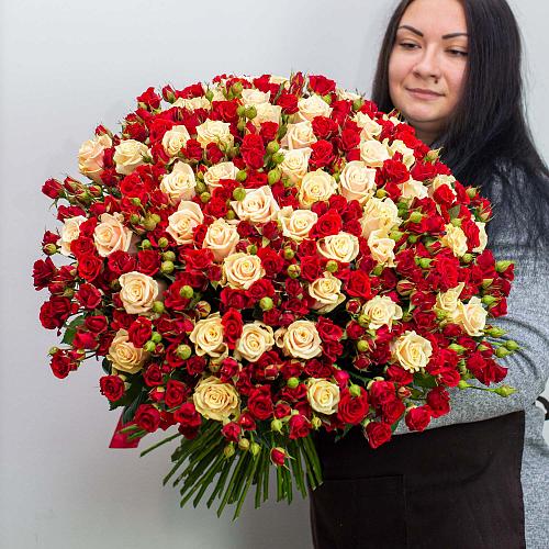 Букет из 51 кремовой розы и 49 красных кустовых роз