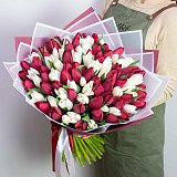 Букет из 101 белых и красных тюльпанов