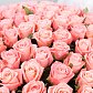 Корзина из 201 розовой розы