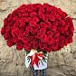 101 красная роза Голландия 90 см