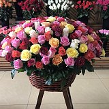 Корзина из 201 разноцветной розы — миниатюра 2