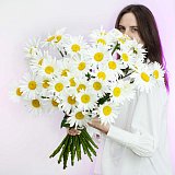Ромашка поштучно