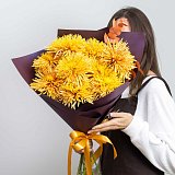 Букет из 9 крупных хризантем "Брызги французского шампанского"