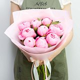 Букет из 9 очень крупных пионов "Etched Salmon"