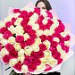 101 белая и розовая роза Голландия 90 см