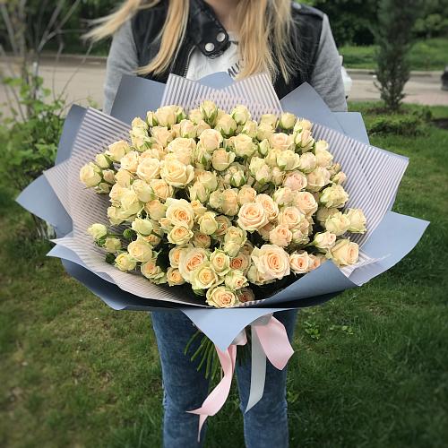 35 кремовых кустовых роз "Яна"