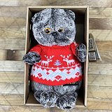 Зимний Кот Басик в свитере с оленями