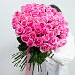 51 розовая роза "Ревиваль" 60 см