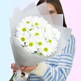 Букет из белых хризантем "Лунный свет"