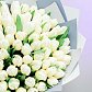Букет из 101 белых тюльпанов