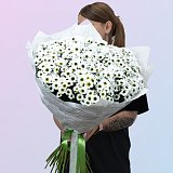 Букет из 51 белой кустовой хризантемы — миниатюра 2