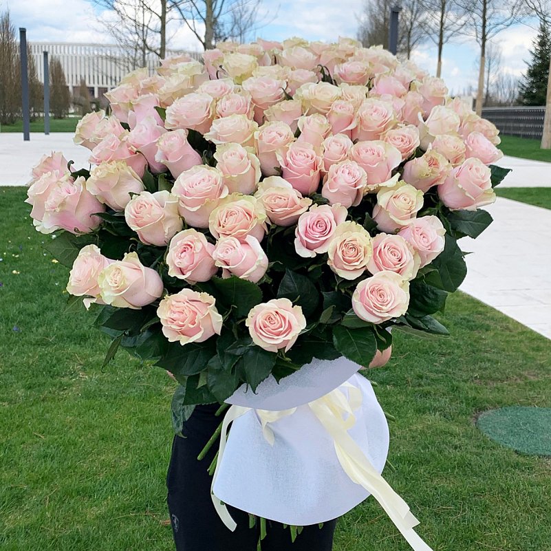 101 розовая роза "Пинк Мондиаль" Голландия 90 см