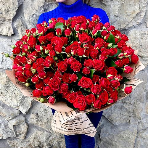 51 красная кустовая роза 60 см