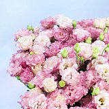 Большой букет из 51 розовой эустомы — миниатюра 4