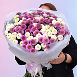 Букет из 25 розовых и кремовых кустовых хризантем