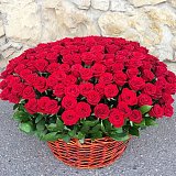 Корзина из 201 красной розы