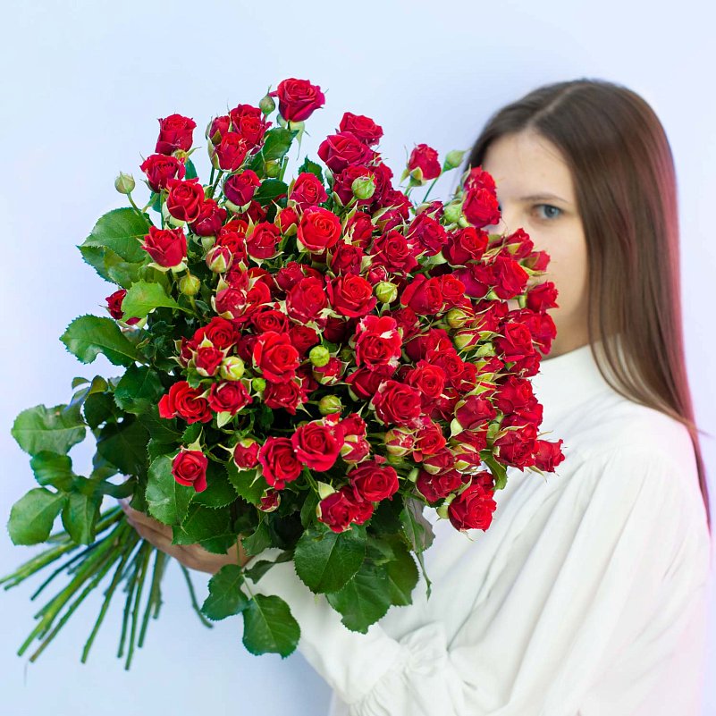 Красная кустовая роза "Мирабель" 60 см шт.