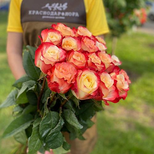 Букет из 17 роз "Кабаре" 90 см