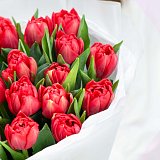 Букет из 19 пионовидных тюльпанов "Вдохновение" — миниатюра 2