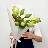 Букет "15 лотосов"