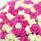 101 белая и розовая роза 60 см