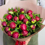 Букет из 19 местных бордовых пионов — миниатюра 3
