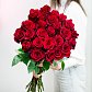 Красные розы Голландия 90 см шт.