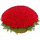 Букет из 501 красной розы в корзине