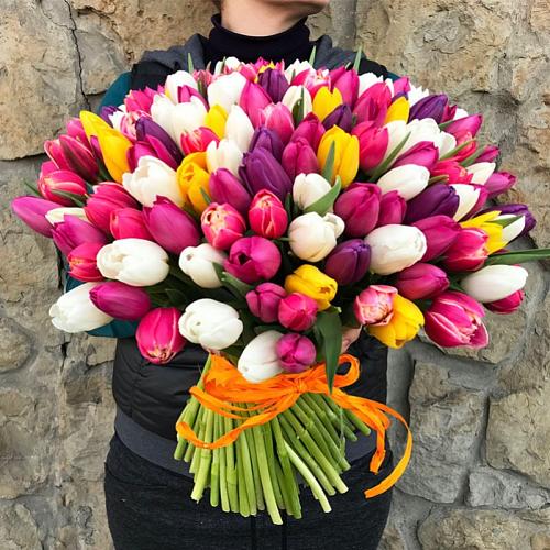 Букет из 151 разноцветного тюльпана