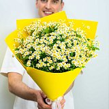 Букет из кустовых ромашек матрикария — миниатюра 2
