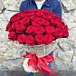 Красные розы Россия 60 см шт.