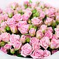 Букет из 19 кустовых розовых роз 60 см