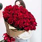 51 Голландская роза "Эксплорер" 90 см