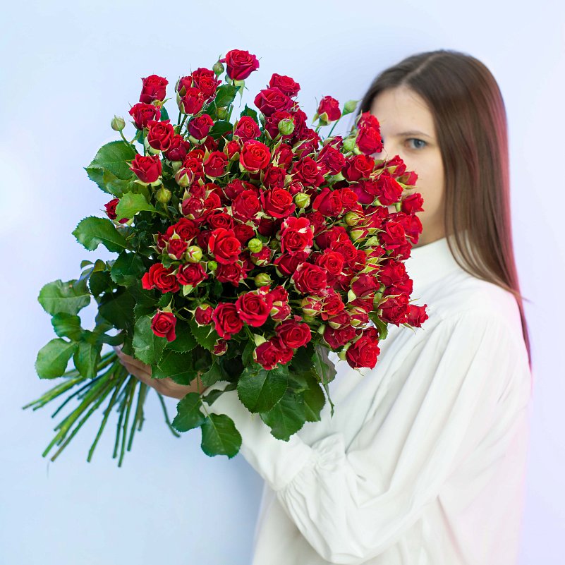Красная кустовая роза "Мирабель" 60 см шт.