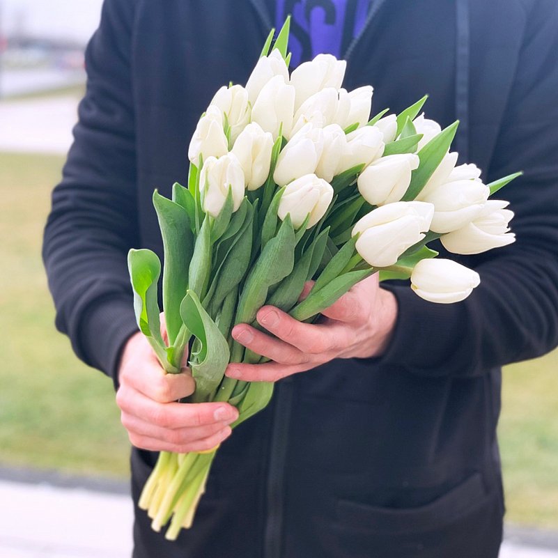 Белые тюльпаны шт.