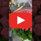 Корзина из 201 розовой розы — видео