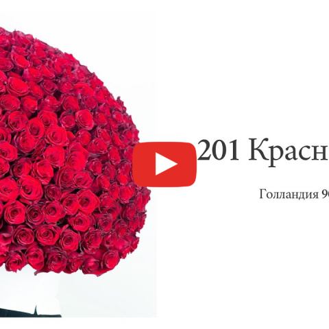 201 красная роза Голландия 90 см — фото 3