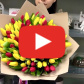 101 красный и желтый тюльпан — видео