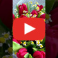 Букет из 19 красных тюльпанов и танацетумом — видео